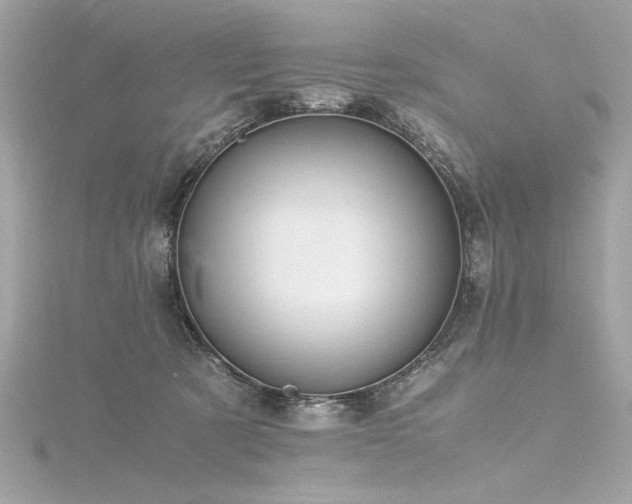 X0000116350321200912011416