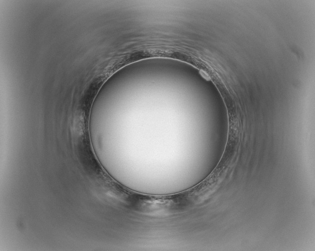 X0000116350323200912011416