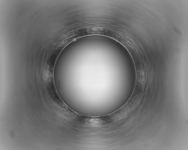 X0000116350324200912011415