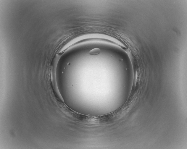 X0000116350325200912011415