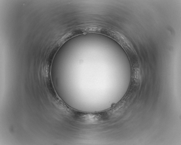 X0000116350326200912011415