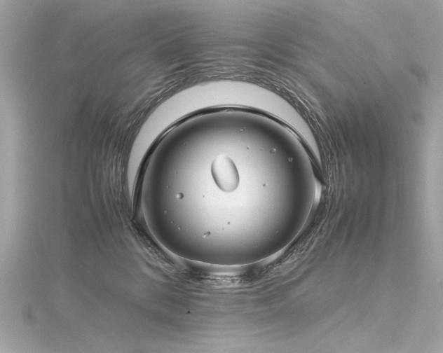 X0000116350328200912011415