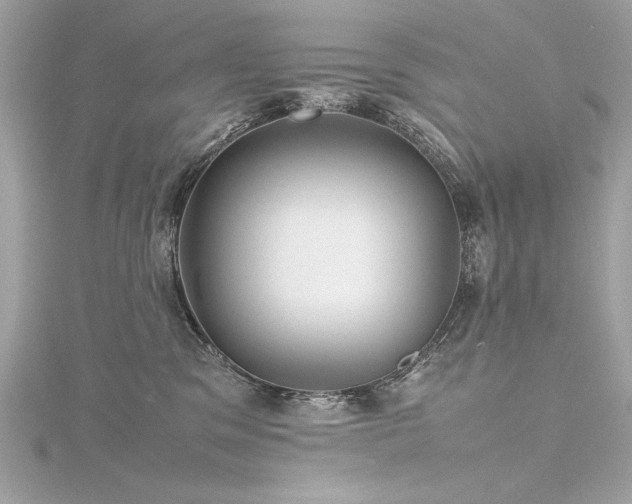 X0000116350329200912011415