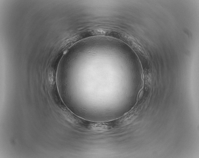 X0000116350331200912011415