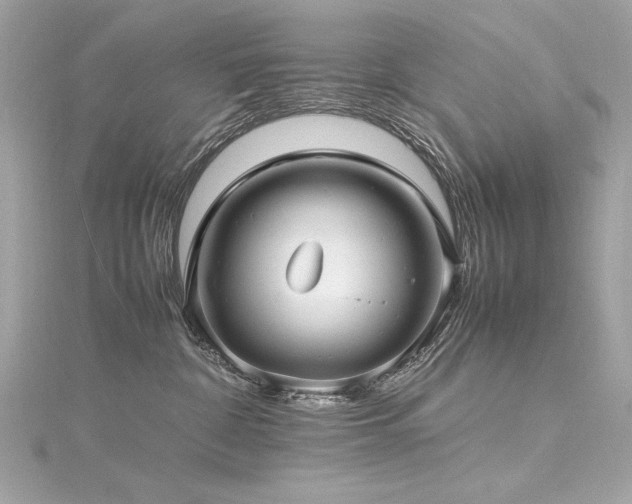 X0000116350332200912011415