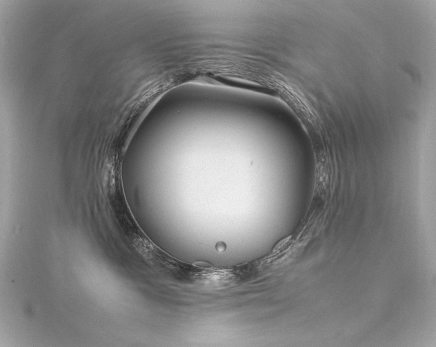 X0000116350333200912011415