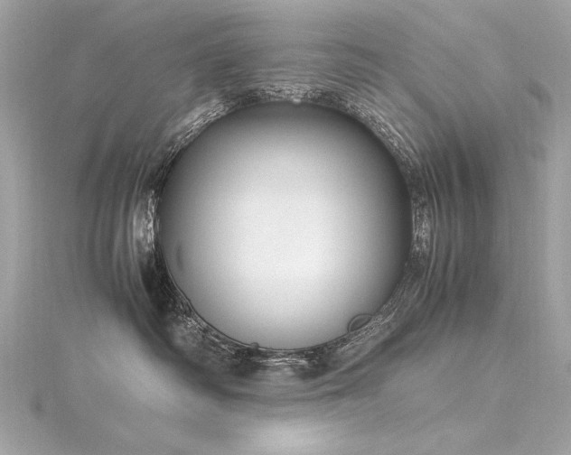 X0000116350334200912011415