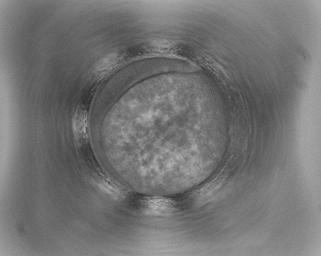 X0000116350336200912011415