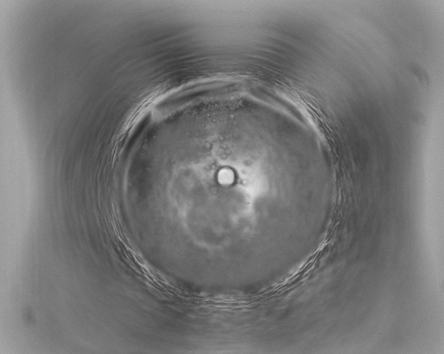 X0000116350337200912011415