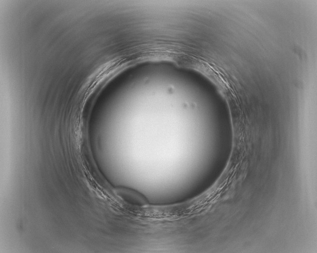 X0000116350338200912011415