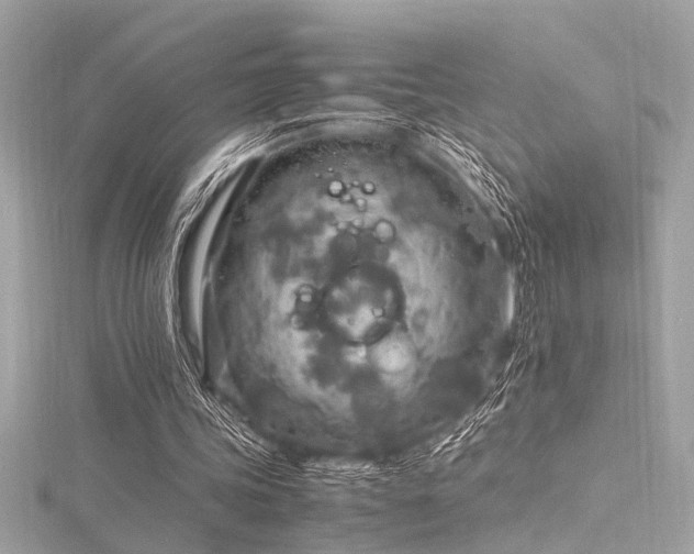 X0000116350339200912011415