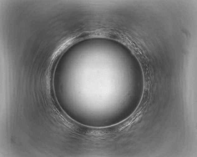 X0000116350341200912011415