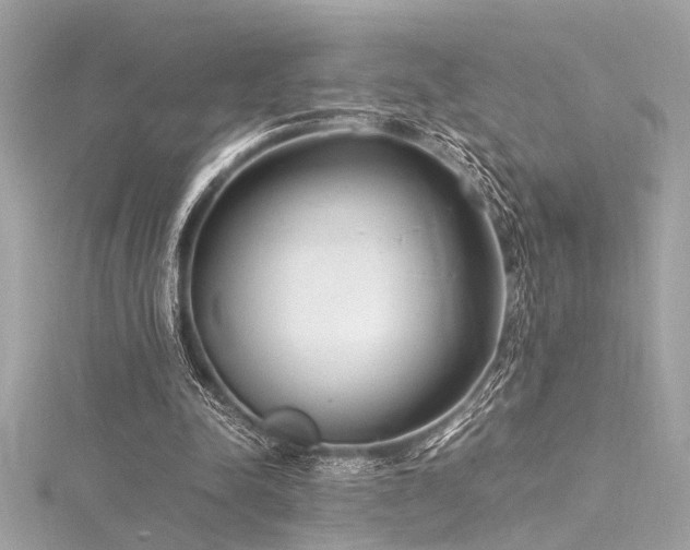 X0000116350342200912011415