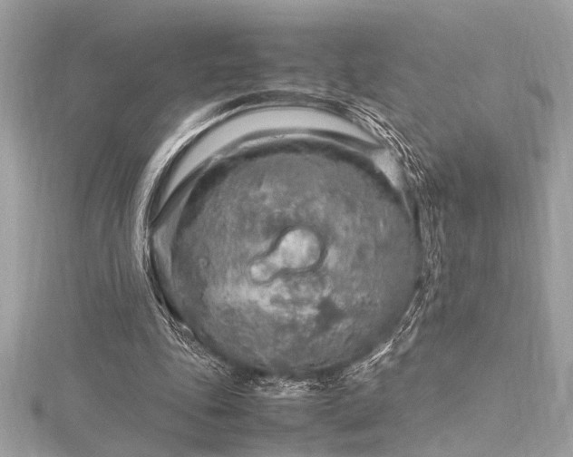 X0000116350343200912011415