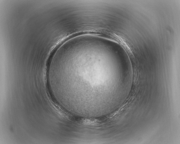 X0000116350346200912011415