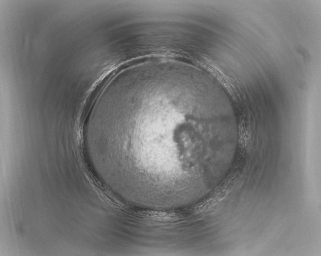 X0000116350347200912011415