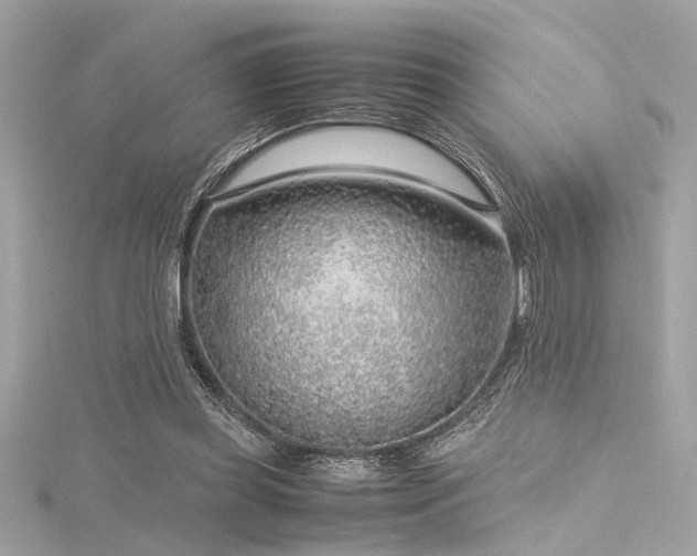 X0000116350349200912011415