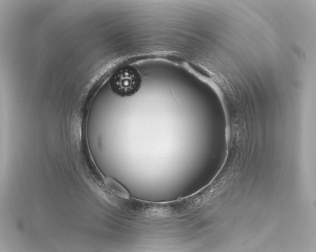 X0000116350350200912011415