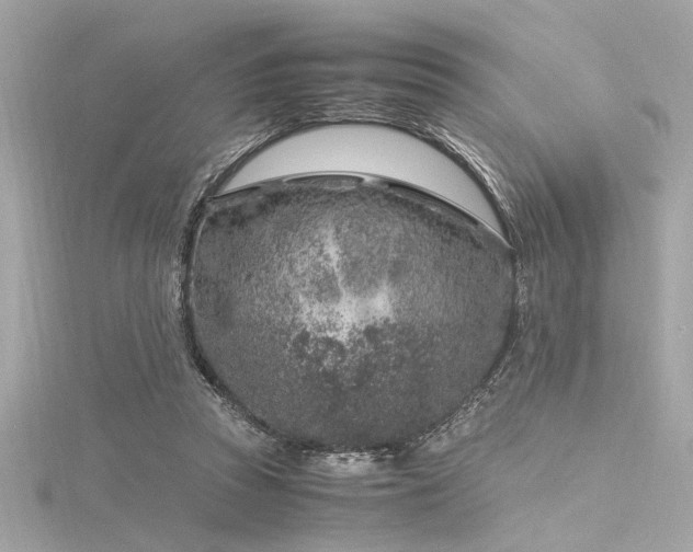 X0000116350353200912011415