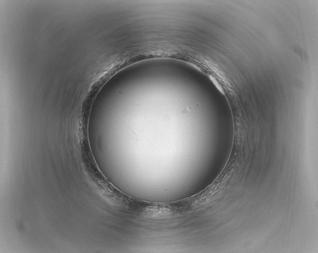 X0000116350354200912011415