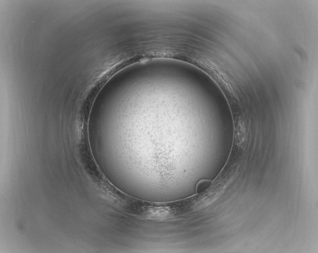 X0000116350355200912011415