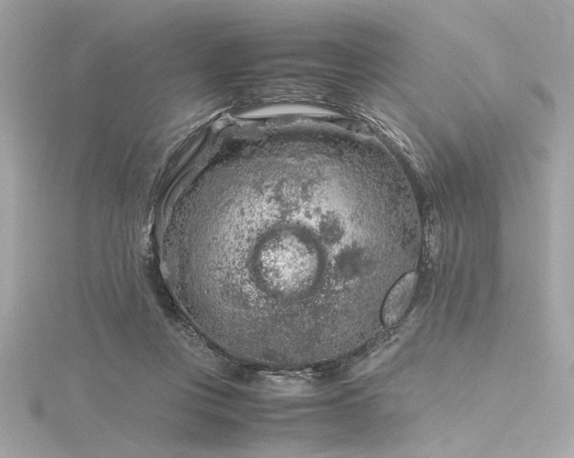 X0000116350359200912011415