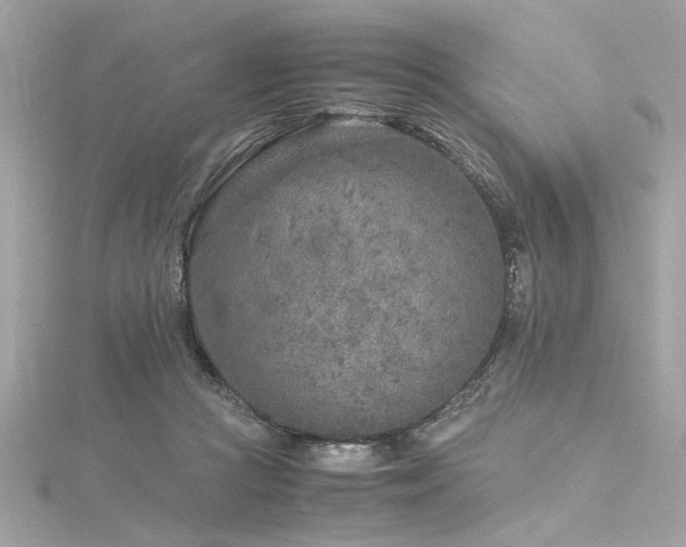 X0000116350361200912011415