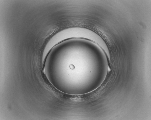 X0000116350362200912011415