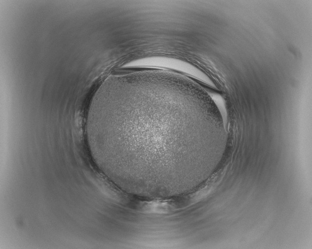 X0000116350366200912011415