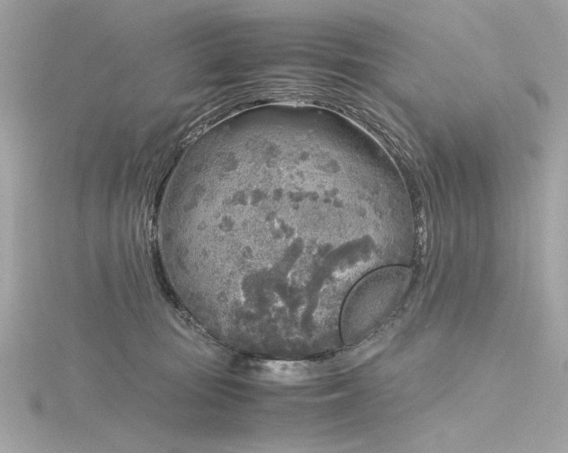 X0000116350371200912011415