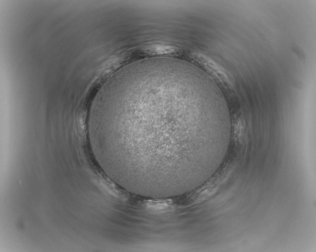 X0000116350373200912011415