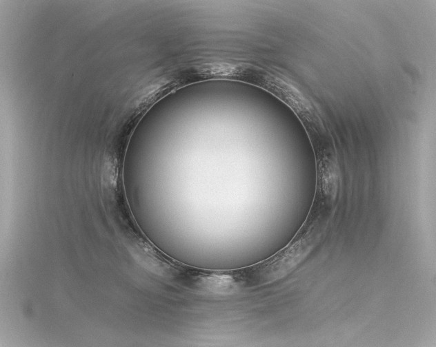 X0000116350374200912011415