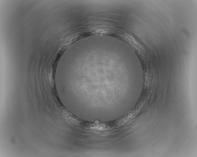 X0000116350377200912011415