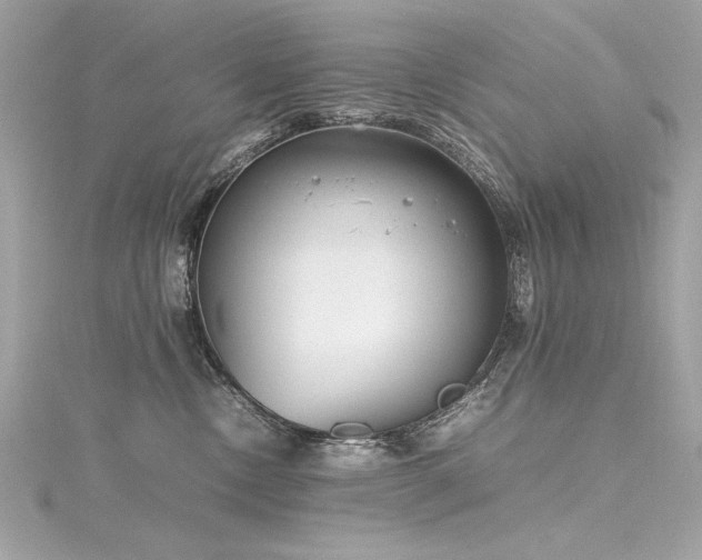 X0000116350378200912011415