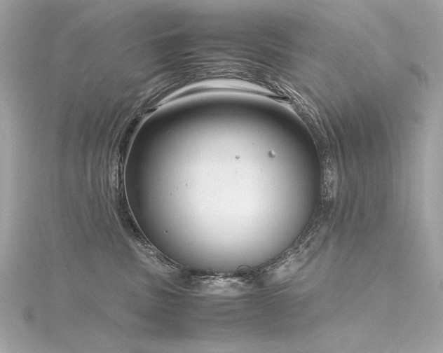 X0000116350379200912011415