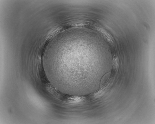 X0000116350381200912011415