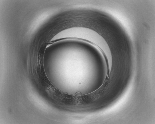 X0000116350382200912011415