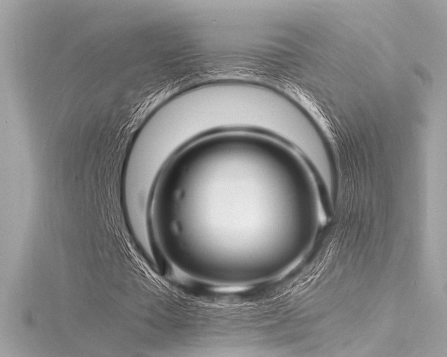 X0000116350385200912011415