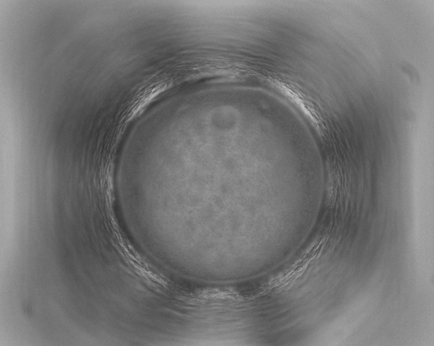 X0000116350386200912011415