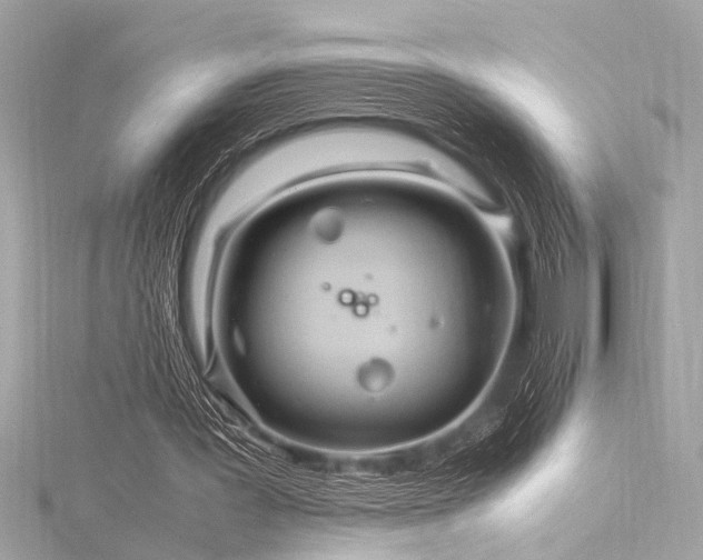 X0000116350387200912011415