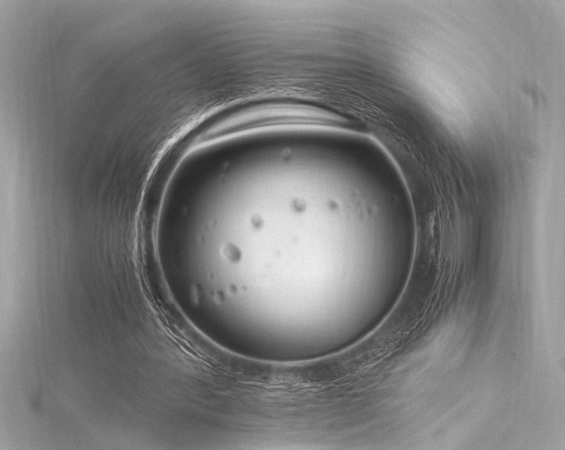 X0000116350388200912011415