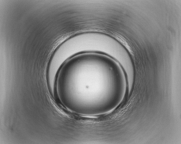 X0000116350389200912011415