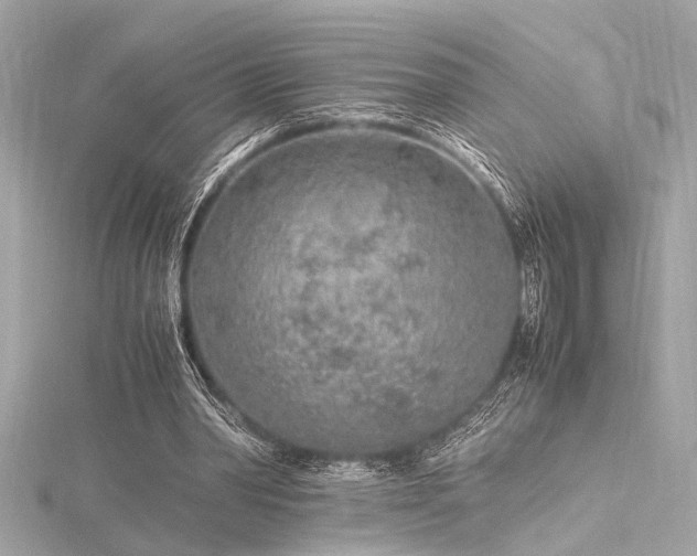 X0000116350390200912011415