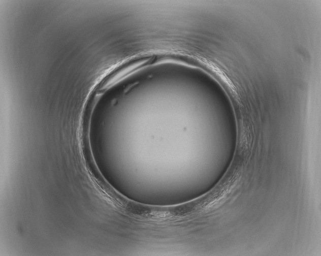 X0000116350391200912011415