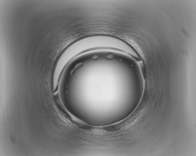 X0000116350393200912011415