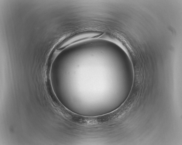 X0000116350395200912011415