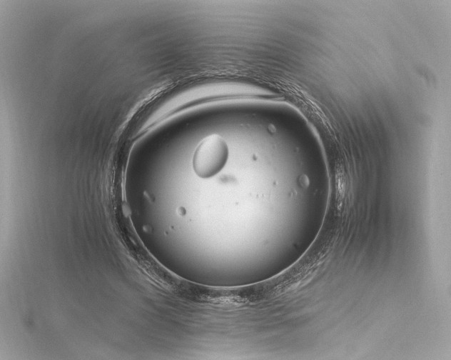 X0000116350396200912011415