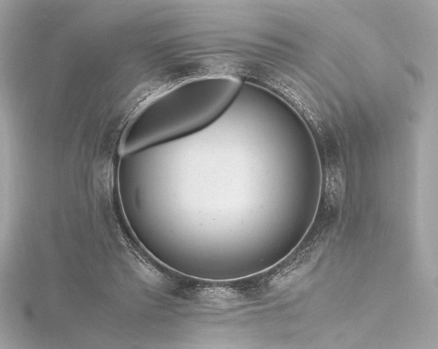 X0000116350397200912011415