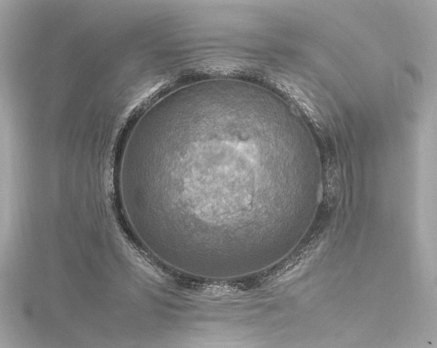 X0000116350399200912011415