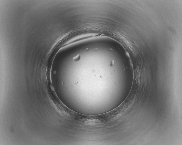 X0000116350400200912011415